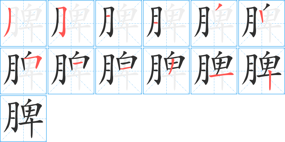 《脾》的笔顺分步演示（一笔一画写字）