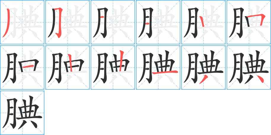 《腆》的笔顺分步演示（一笔一画写字）