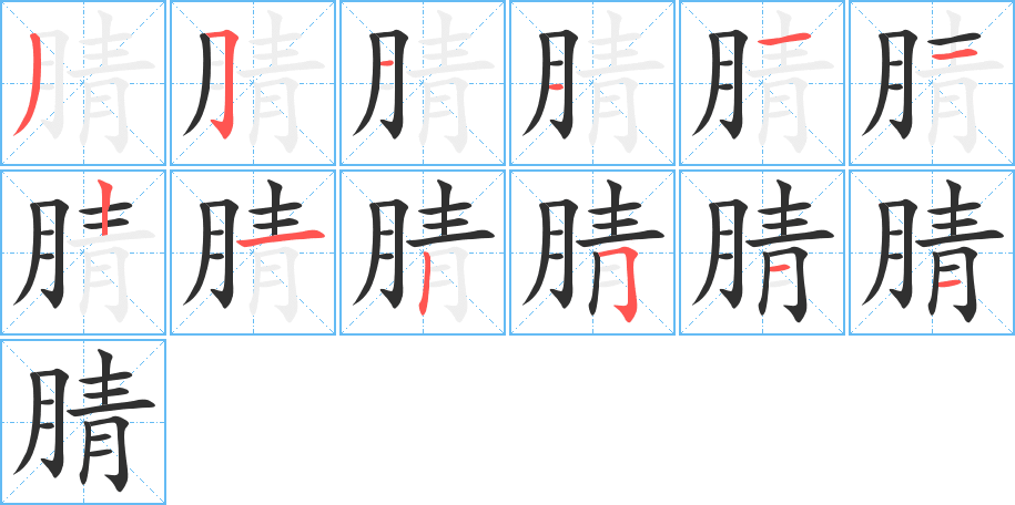 《腈》的笔顺分步演示（一笔一画写字）