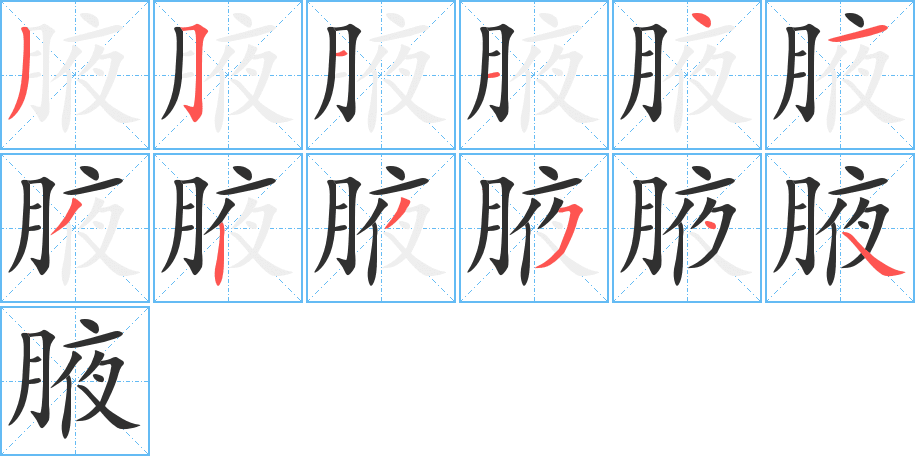 《腋》的笔顺分步演示（一笔一画写字）