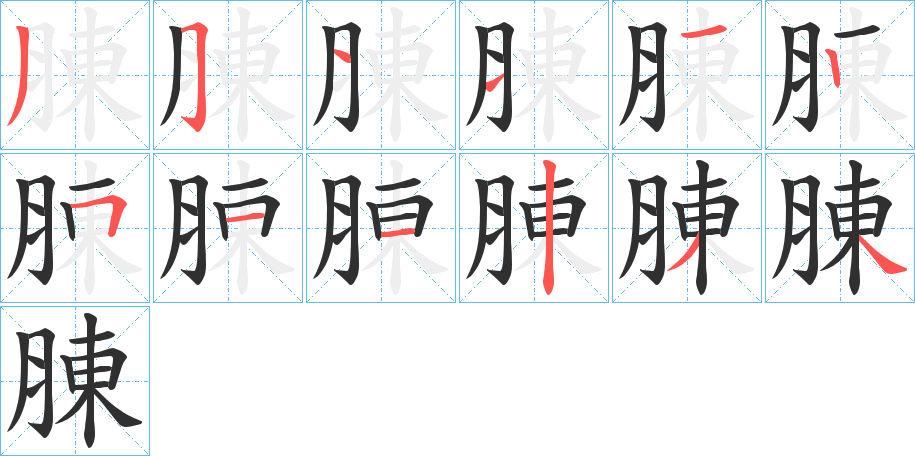 《腖》的笔顺分步演示（一笔一画写字）