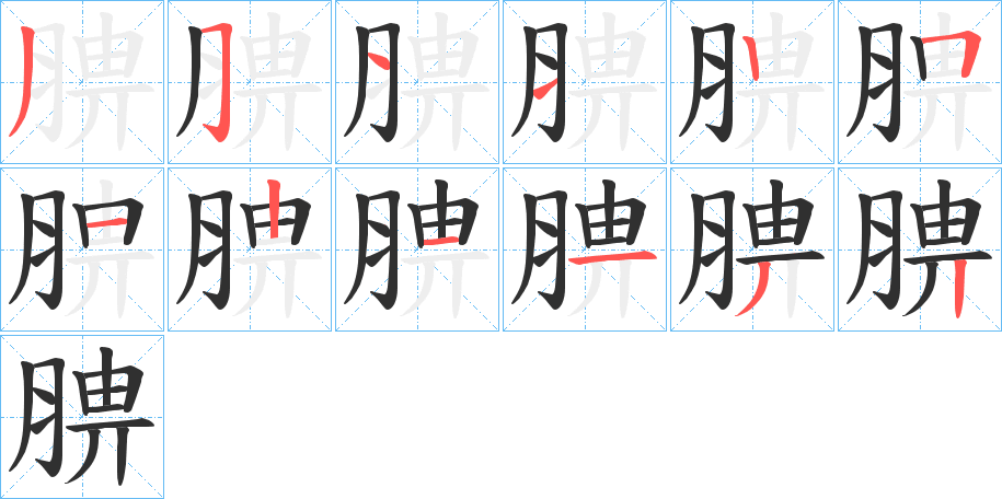 《腗》的笔顺分步演示（一笔一画写字）