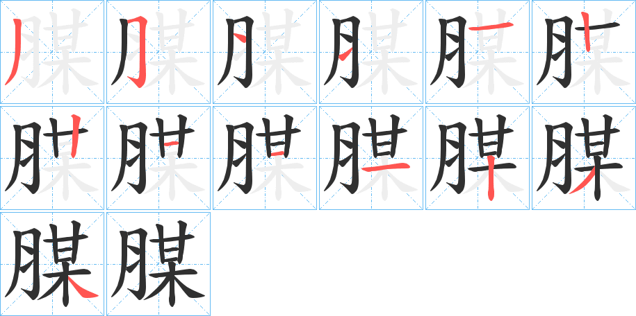 《腜》的笔顺分步演示（一笔一画写字）