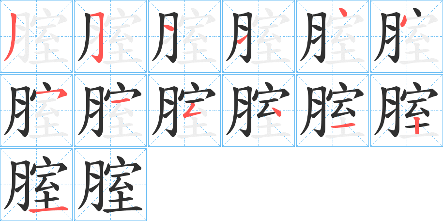 《腟》的笔顺分步演示（一笔一画写字）