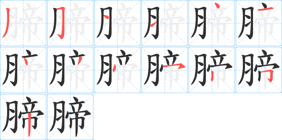 《腣》的笔顺分步演示（一笔一画写字）