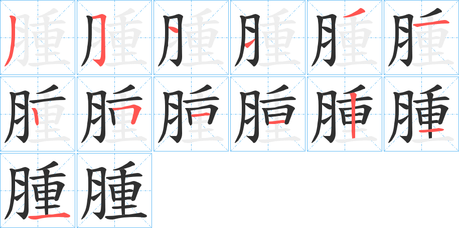 《腫》的笔顺分步演示（一笔一画写字）