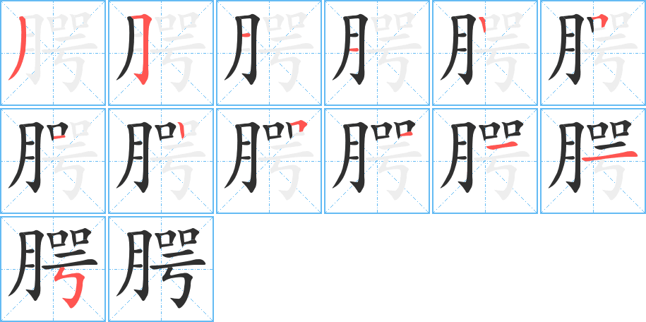 《腭》的笔顺分步演示（一笔一画写字）