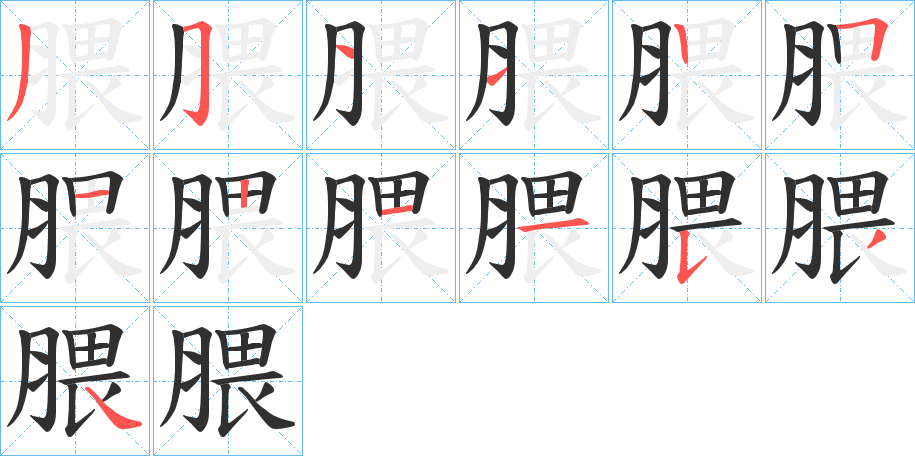 《腲》的笔顺分步演示（一笔一画写字）