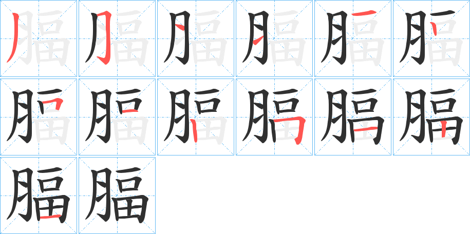 《腷》的笔顺分步演示（一笔一画写字）