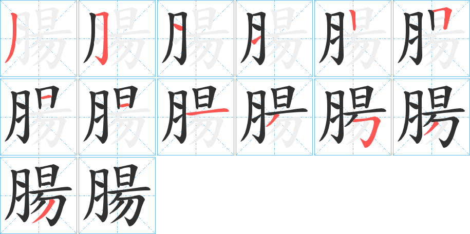 《腸》的笔顺分步演示（一笔一画写字）