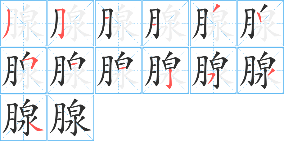 《腺》的笔顺分步演示（一笔一画写字）