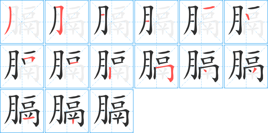 《膈》的笔顺分步演示（一笔一画写字）