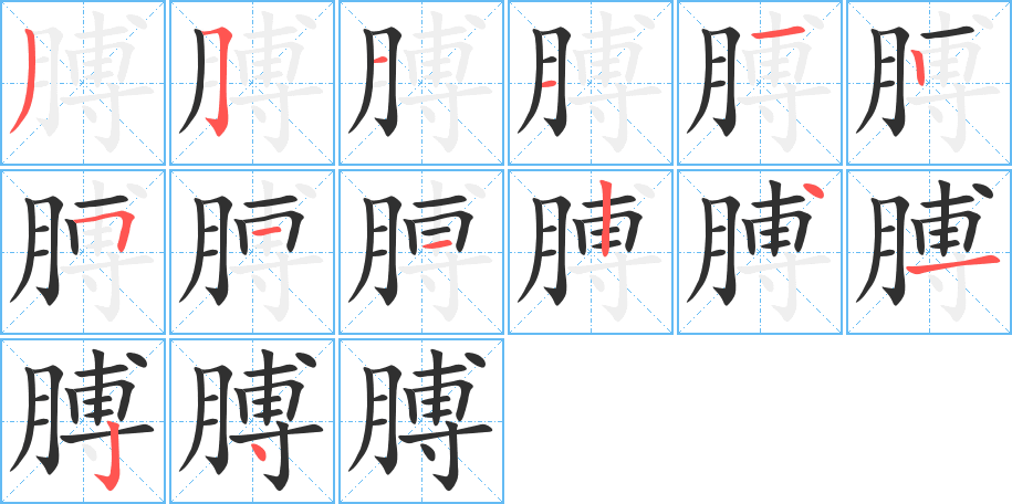 《膊》的笔顺分步演示（一笔一画写字）