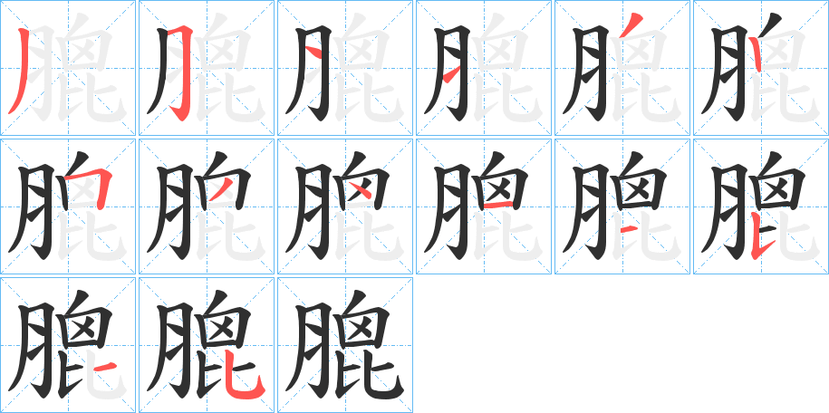 《膍》的笔顺分步演示（一笔一画写字）