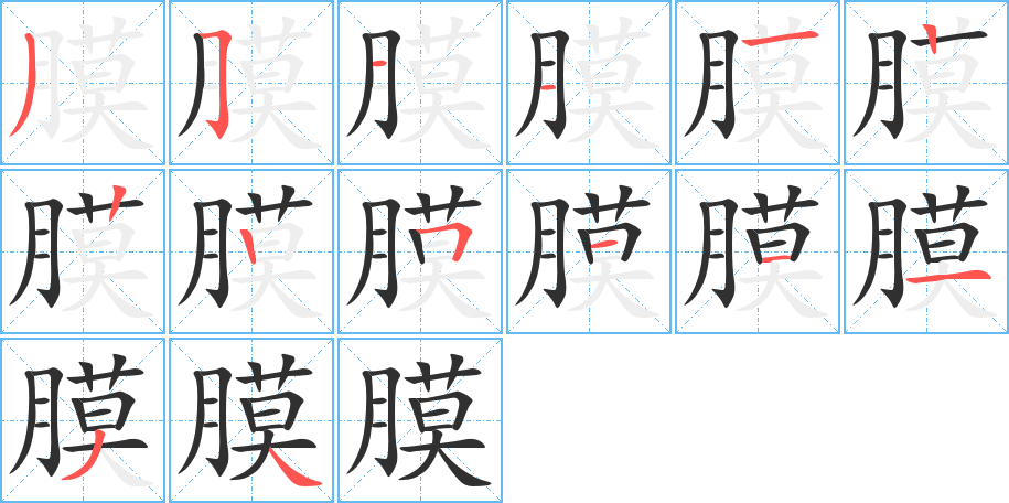 《膜》的笔顺分步演示（一笔一画写字）