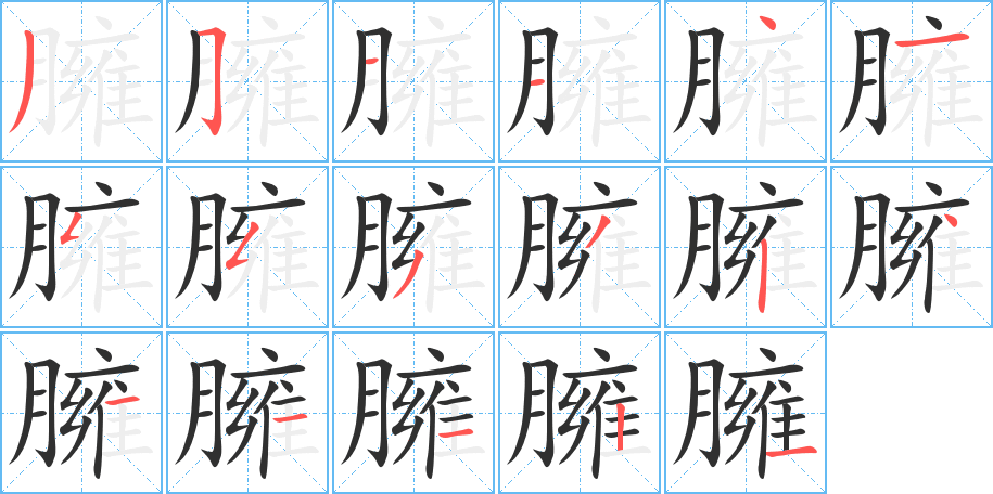 《臃》的笔顺分步演示（一笔一画写字）