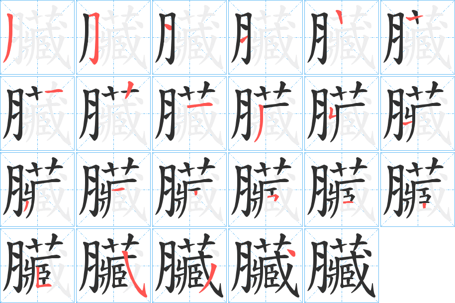 《臟》的笔顺分步演示（一笔一画写字）