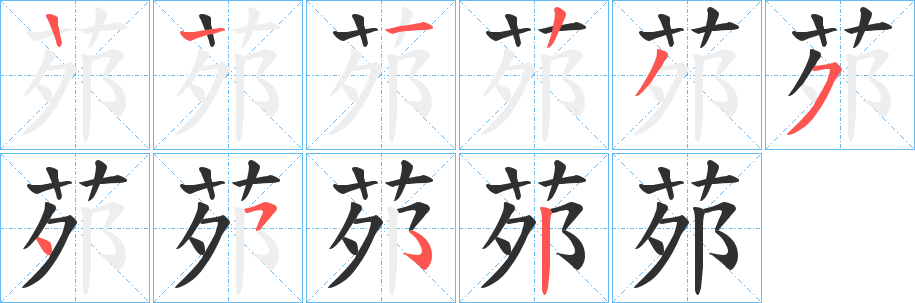 《茒》的笔顺分步演示（一笔一画写字）