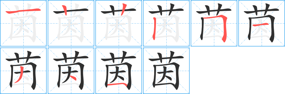 《茵》的笔顺分步演示（一笔一画写字）