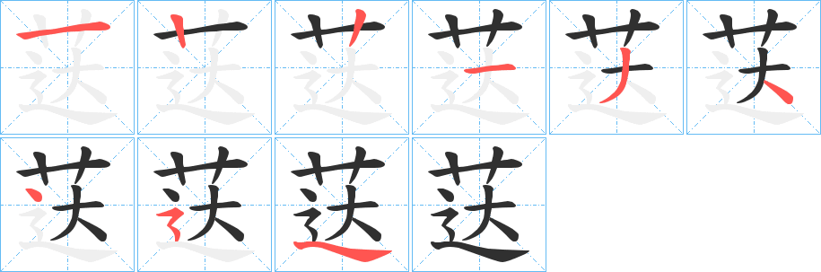 《荙》的笔顺分步演示（一笔一画写字）