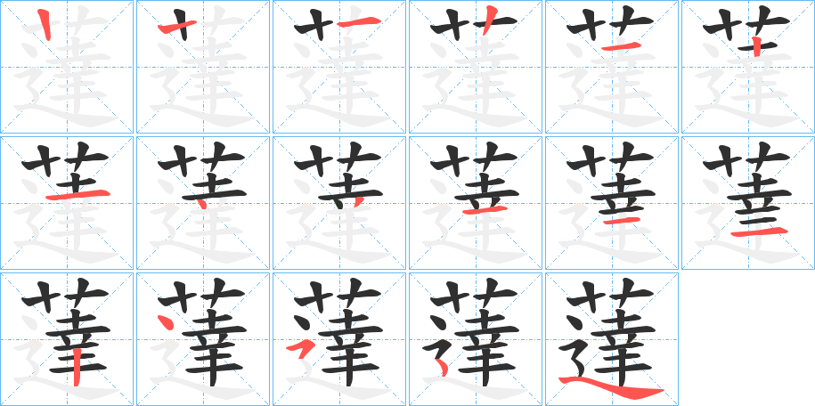 《薘》的笔顺分步演示（一笔一画写字）