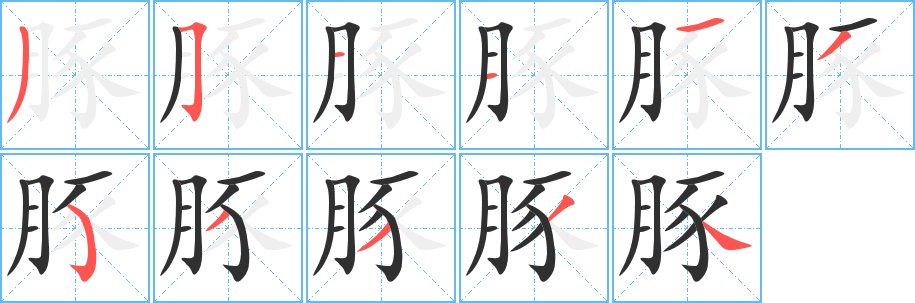 《豚》的笔顺分步演示（一笔一画写字）