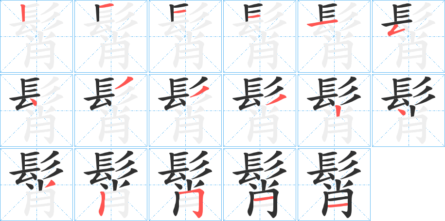 《髾》的笔顺分步演示（一笔一画写字）