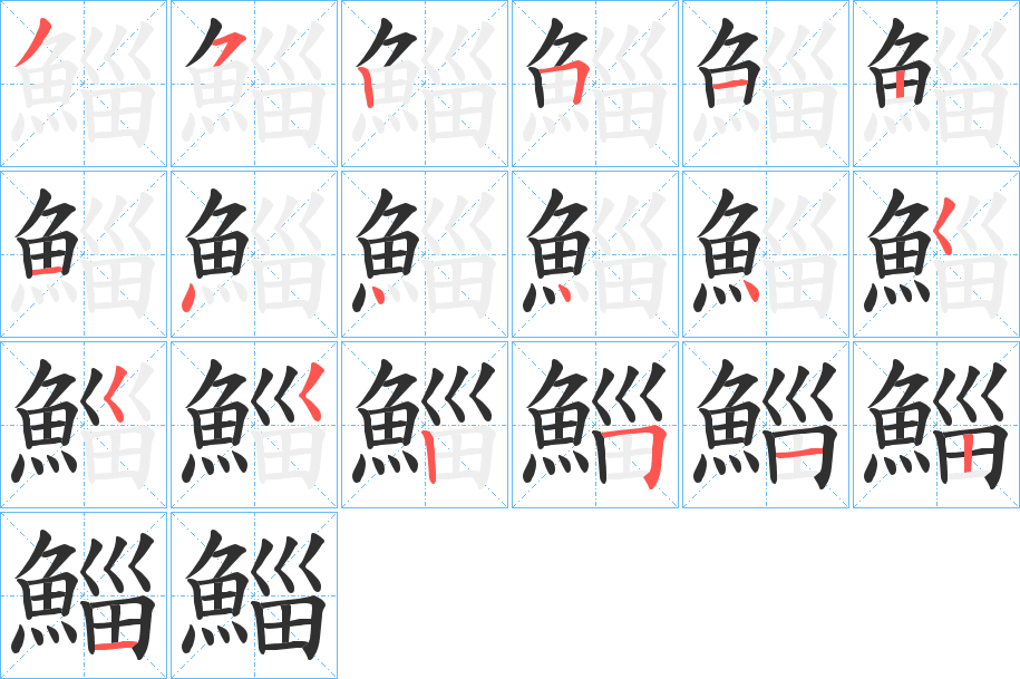 《鯔》的笔顺分步演示（一笔一画写字）