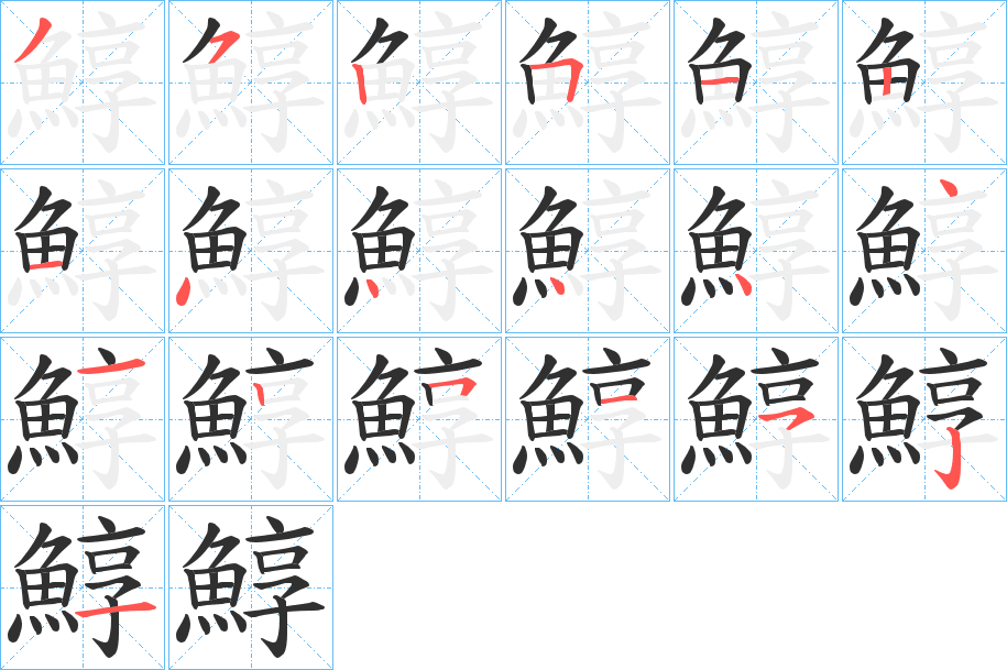 《鯙》的笔顺分步演示（一笔一画写字）