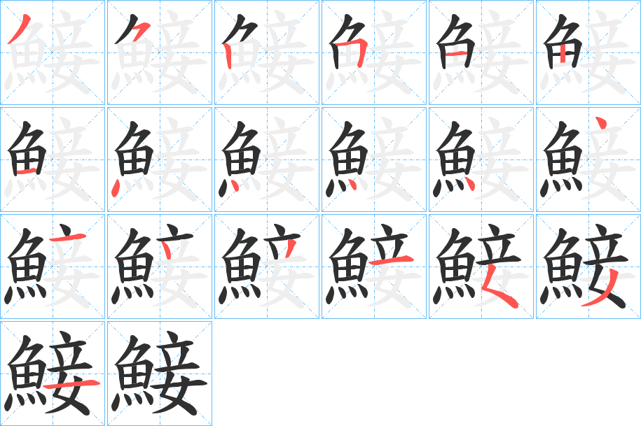 《鯜》的笔顺分步演示（一笔一画写字）