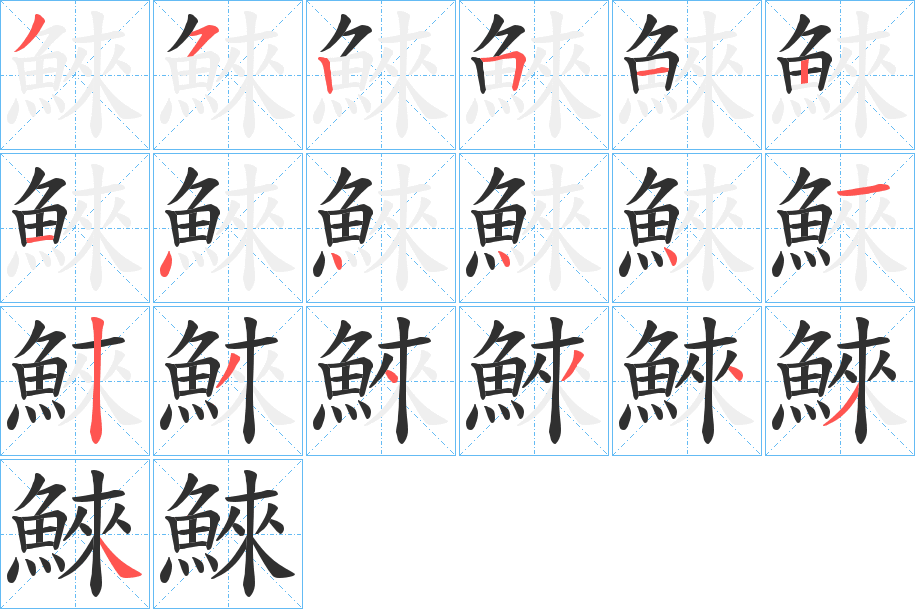 《鯠》的笔顺分步演示（一笔一画写字）