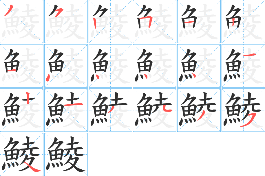 《鯪》的笔顺分步演示（一笔一画写字）