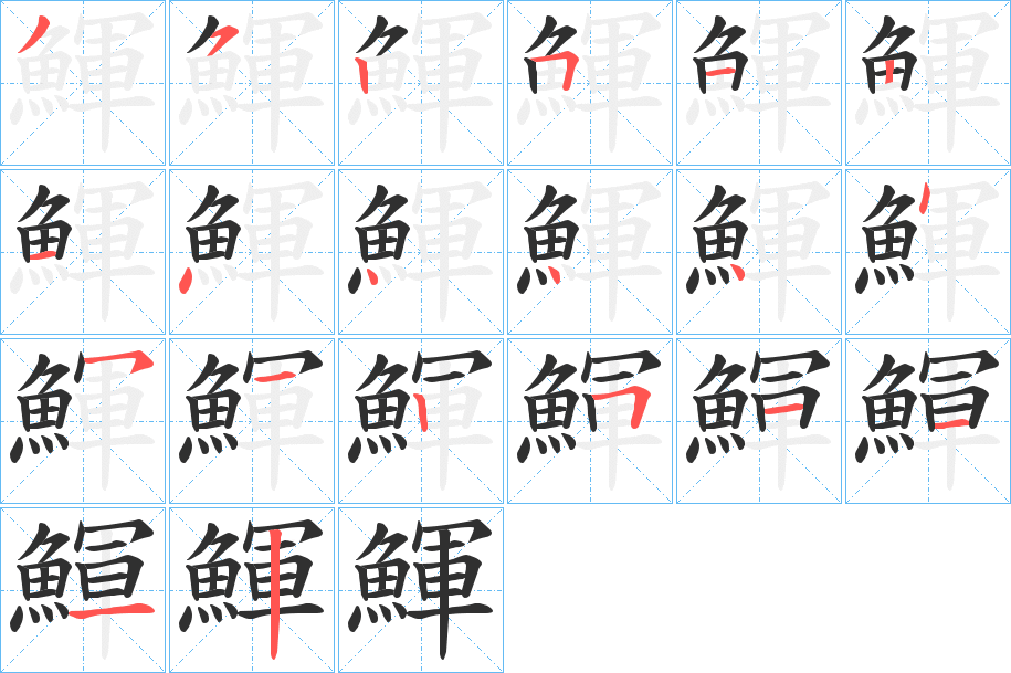 《鯶》的笔顺分步演示（一笔一画写字）