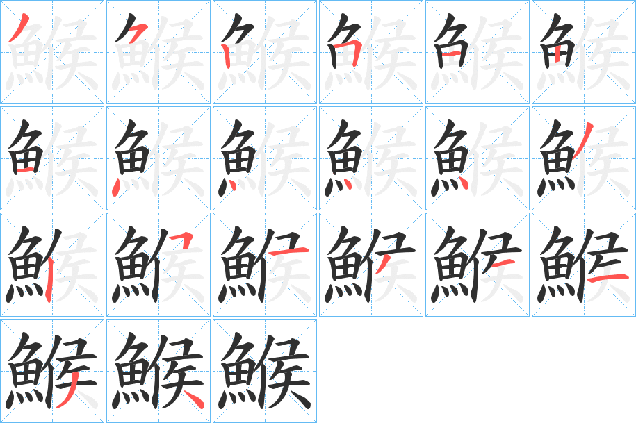 《鯸》的笔顺分步演示（一笔一画写字）