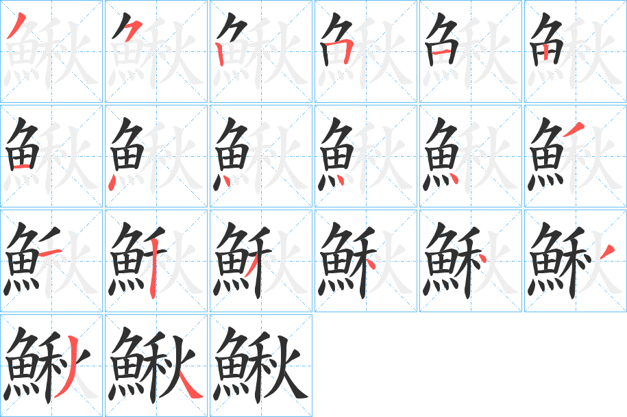 《鰍》的笔顺分步演示（一笔一画写字）