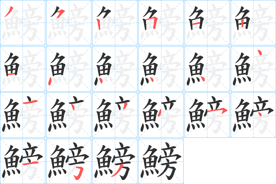 《鰟》的笔顺分步演示（一笔一画写字）