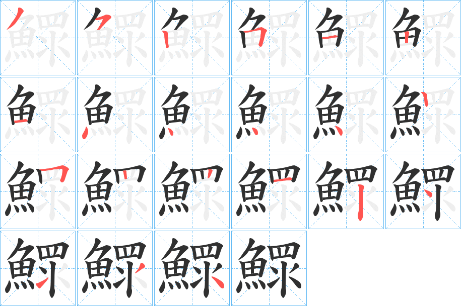 《鰥》的笔顺分步演示（一笔一画写字）