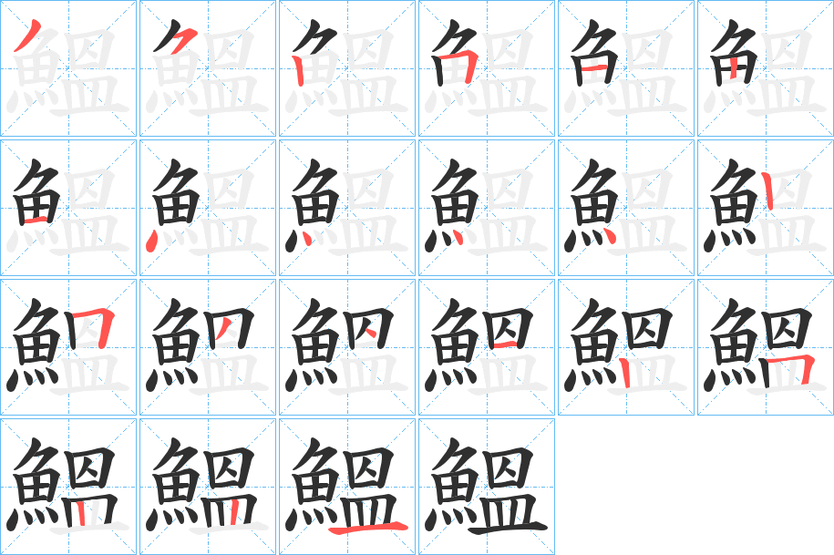 《鰮》的笔顺分步演示（一笔一画写字）