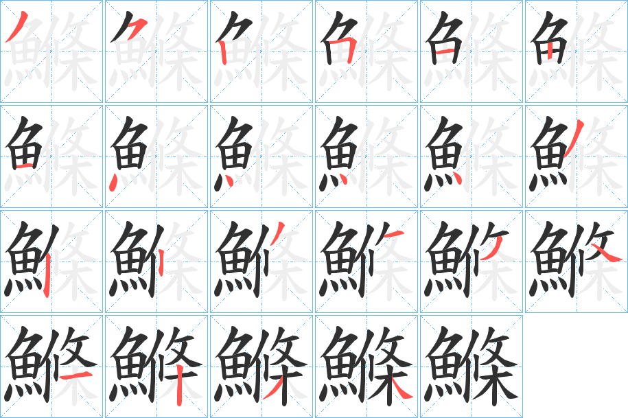 《鰷》的笔顺分步演示（一笔一画写字）