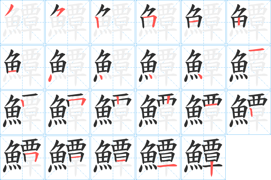 《鱏》的笔顺分步演示（一笔一画写字）