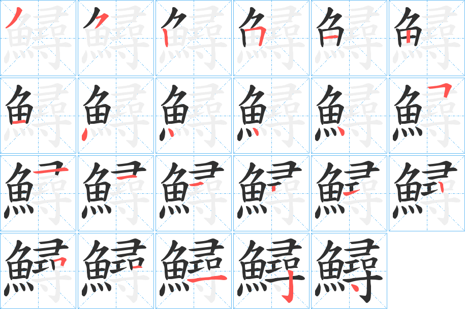 《鱘》的笔顺分步演示（一笔一画写字）