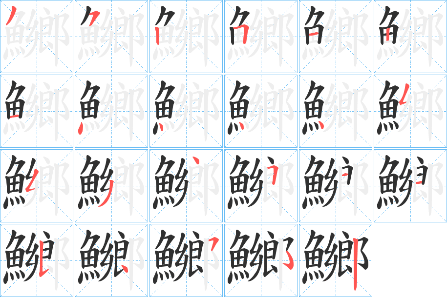 《鱜》的笔顺分步演示（一笔一画写字）