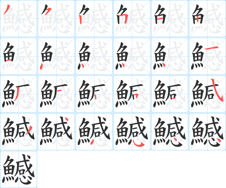 《鱤》的笔顺分步演示（一笔一画写字）