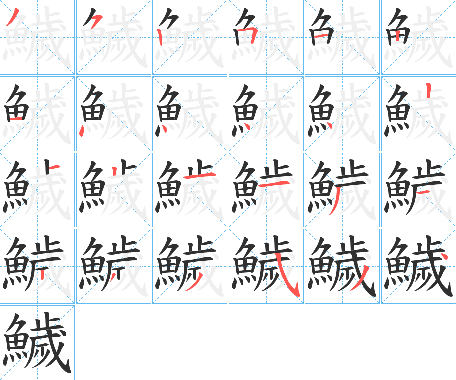 《鱥》的笔顺分步演示（一笔一画写字）