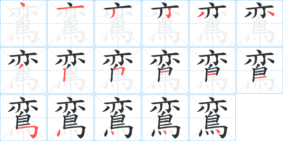 《鵉》的笔顺分步演示（一笔一画写字）