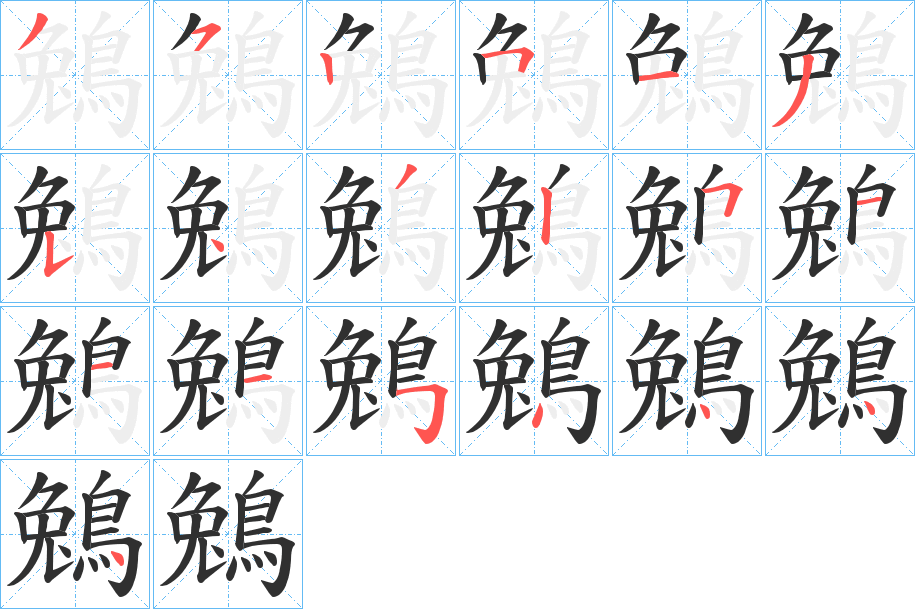 《鵵》的笔顺分步演示（一笔一画写字）