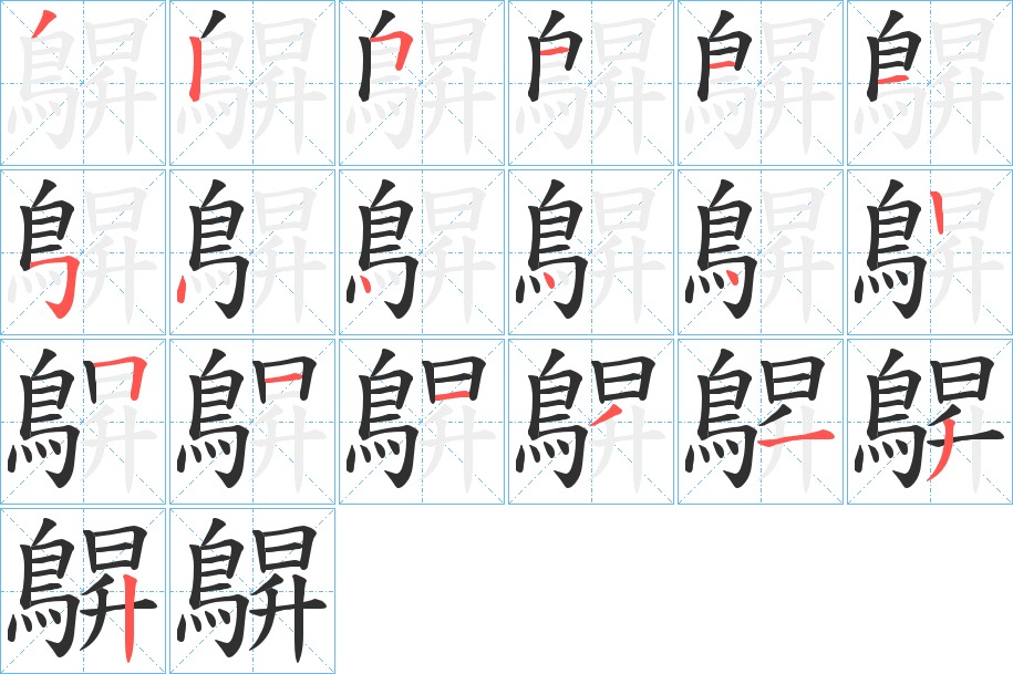 《鵿》的笔顺分步演示（一笔一画写字）