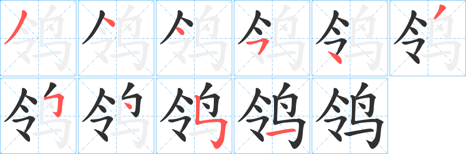 《鸰》的笔顺分步演示（一笔一画写字）