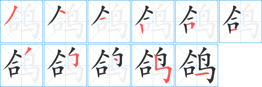 《鸽》的笔顺分步演示（一笔一画写字）