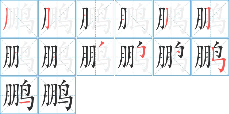 《鹏》的笔顺分步演示（一笔一画写字）